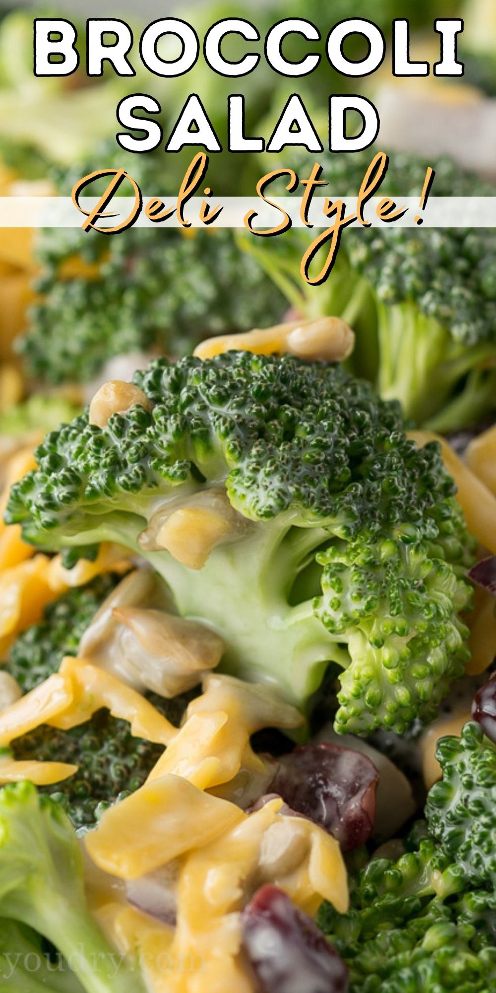 Deli Style Broccoli Cheddar Salad I Wash You Dry