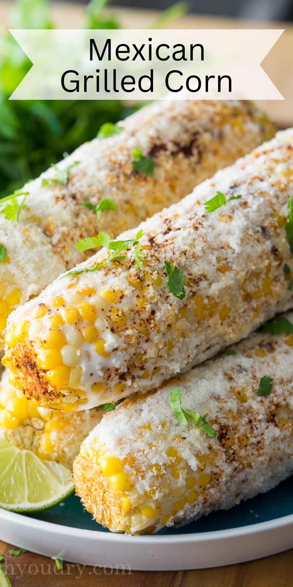 Elote Mexican Grilled Corn - I Wash You Dry