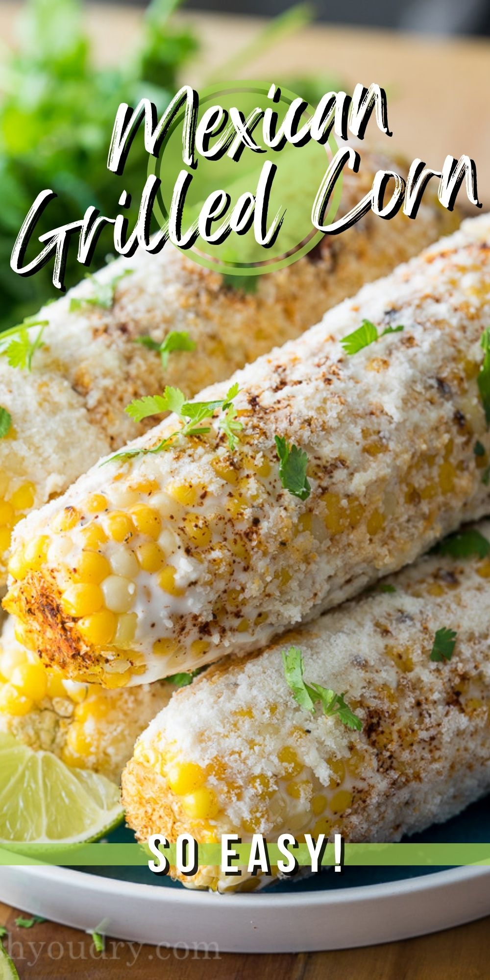 Elote Mexican Grilled Corn - I Wash You Dry
