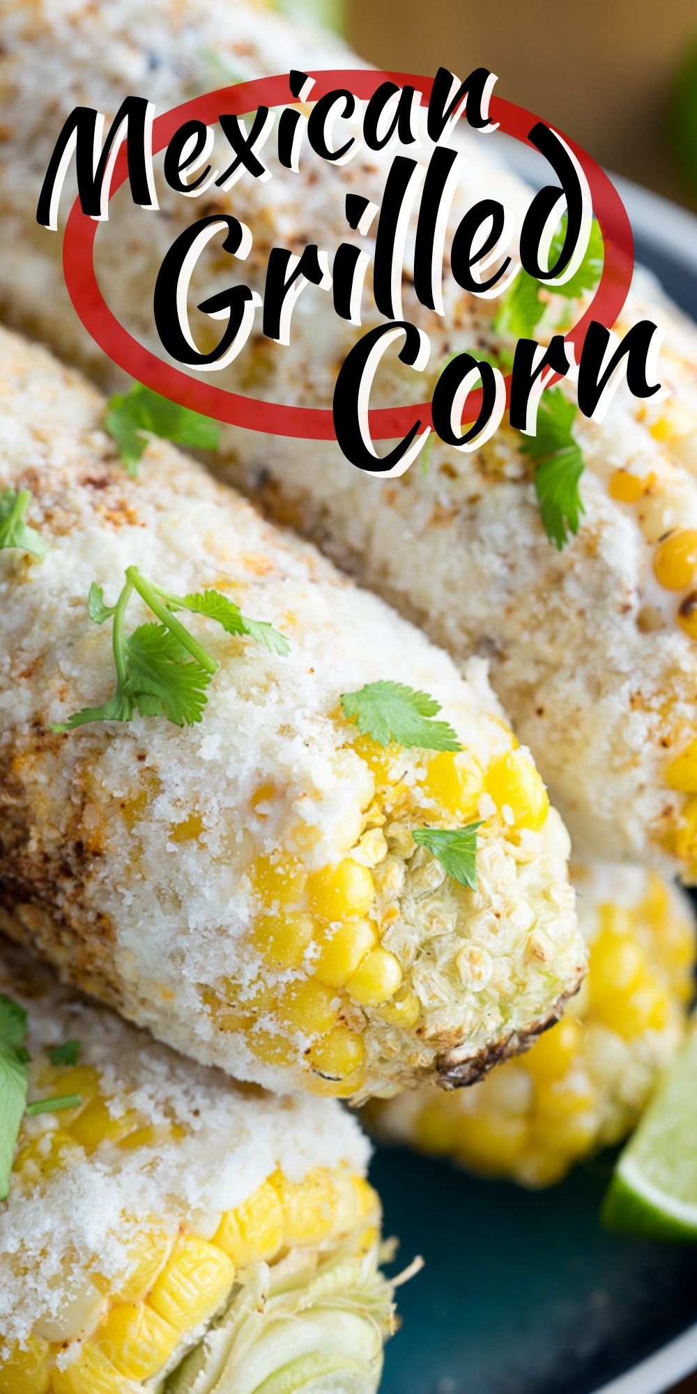 Elote Mexican Grilled Corn - I Wash You Dry