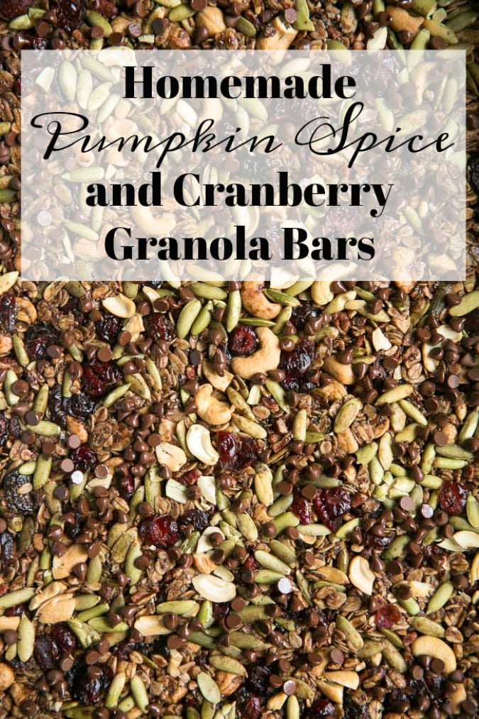 Pumpkin Spice Cranberry Granola Bars with Chocolate Chips- an easy homemade snack the whole family will love!