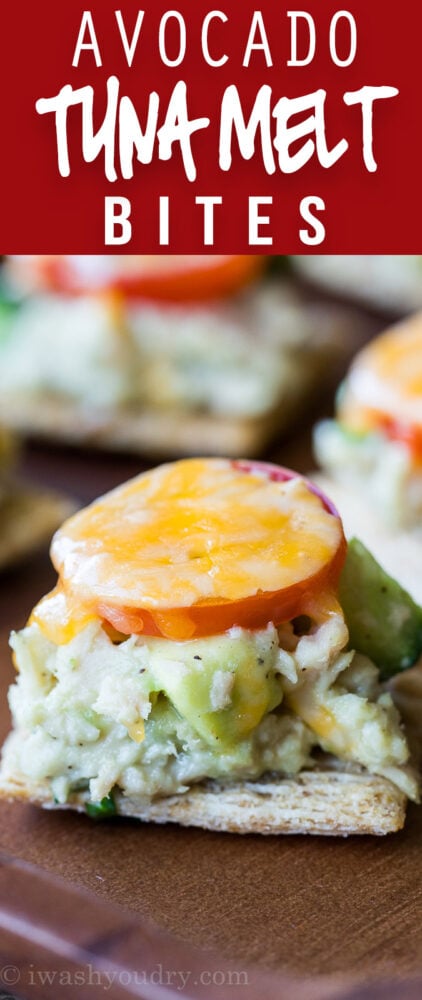 These Avocado Tuna Melt Bites are so irresistible! I couldn't stop eating them!
