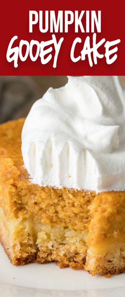 This Pumpkin Gooey Cake is a definitely crowd pleaser! Part cake, part pumpkin pie... it's a dessert winner!