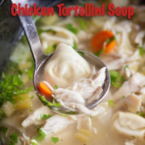 Slow Cooker Chicken and Rice Soup I Wash You Dry