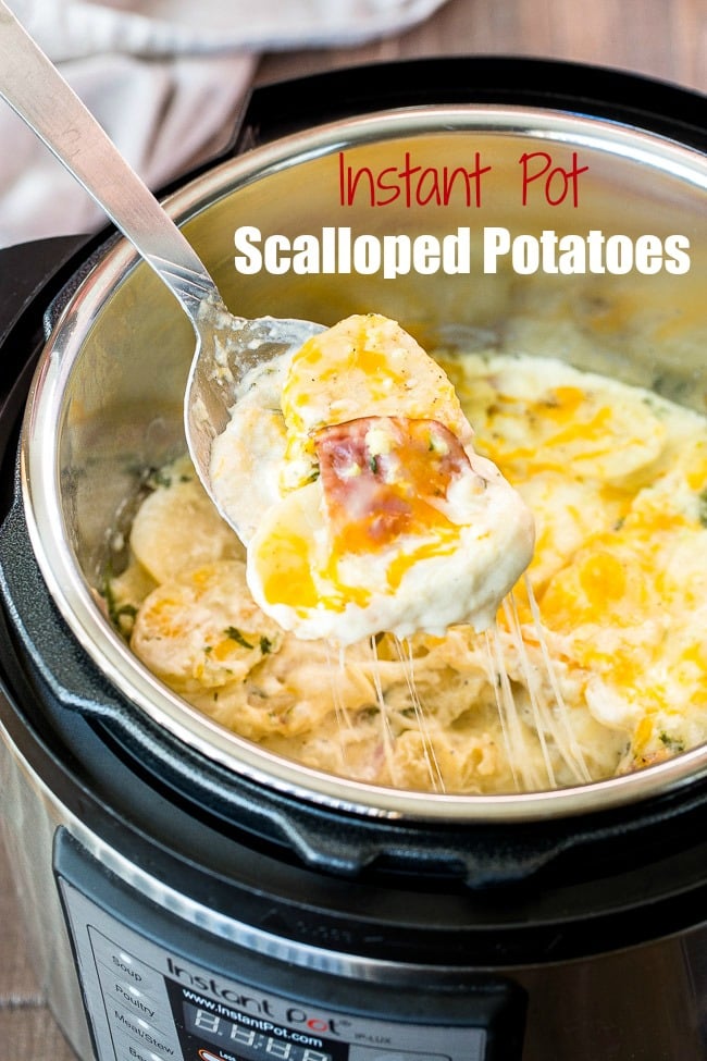 Instant Pot Scalloped Potatoes - I Wash You Dry