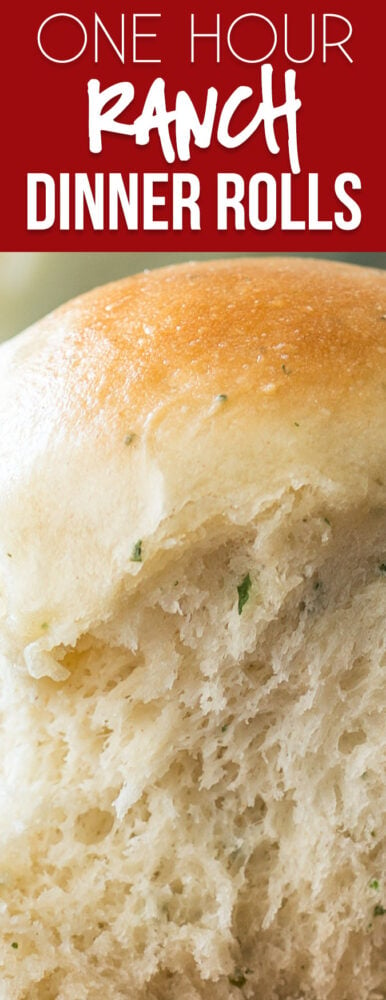 These One Hour Ranch Dinner Rolls are filled with a subtle and delicious ranch flavor and hot and ready in just 1 hour!