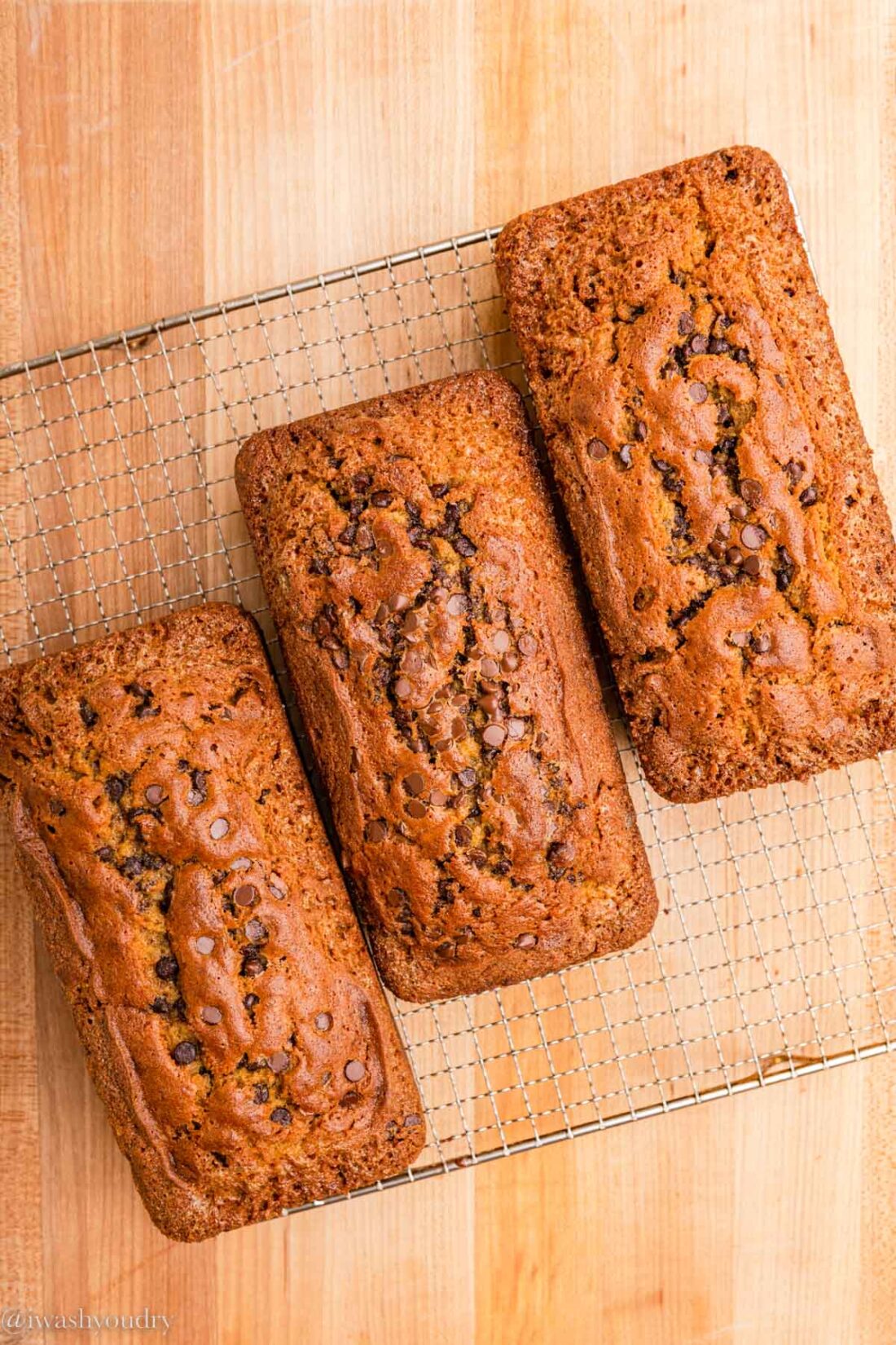 3 loaves of pumpkin chocolate chip bread baked on a wire cooling rack. 