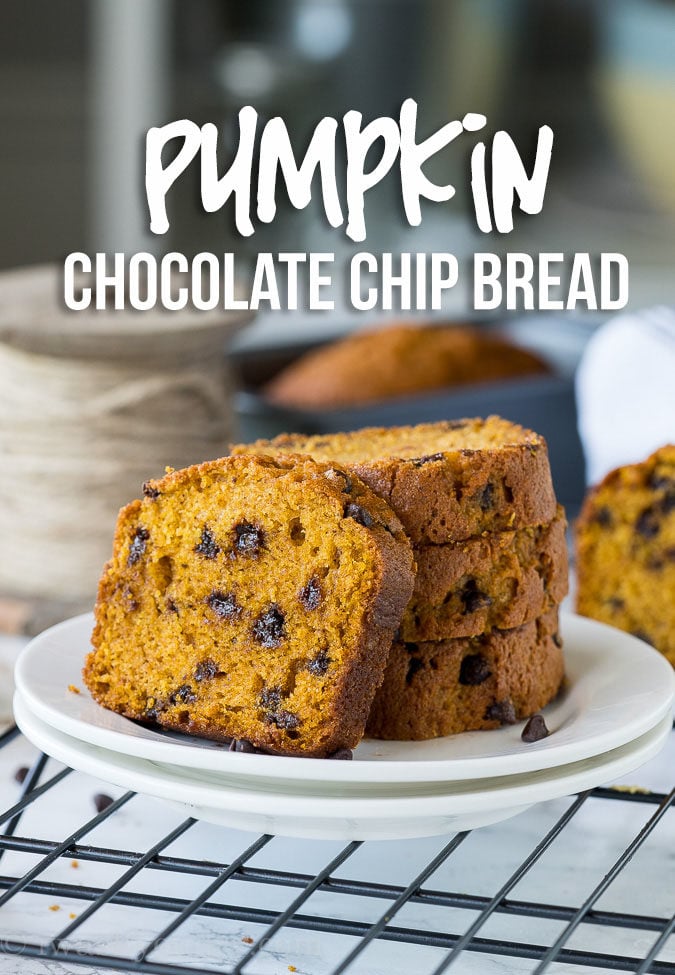 This Pumpkin Chocolate Chip Bread makes for a perfect holiday gift! So moist and perfectly sweetened with that pumpkin pie spice!