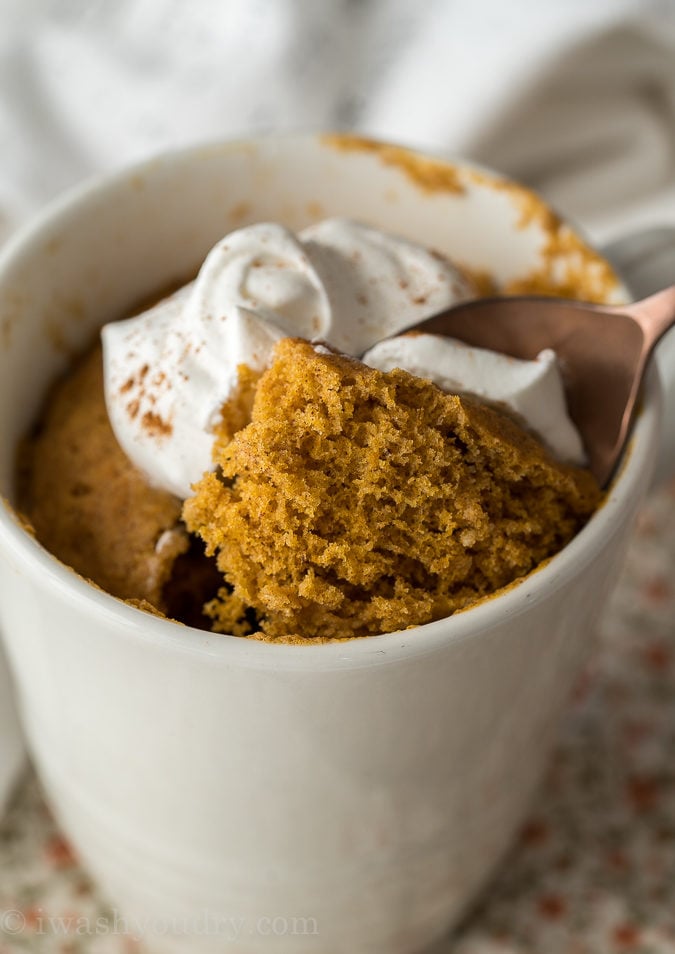 This delightful mug cake is filled with pumpkin spice and topped with whipped cream!