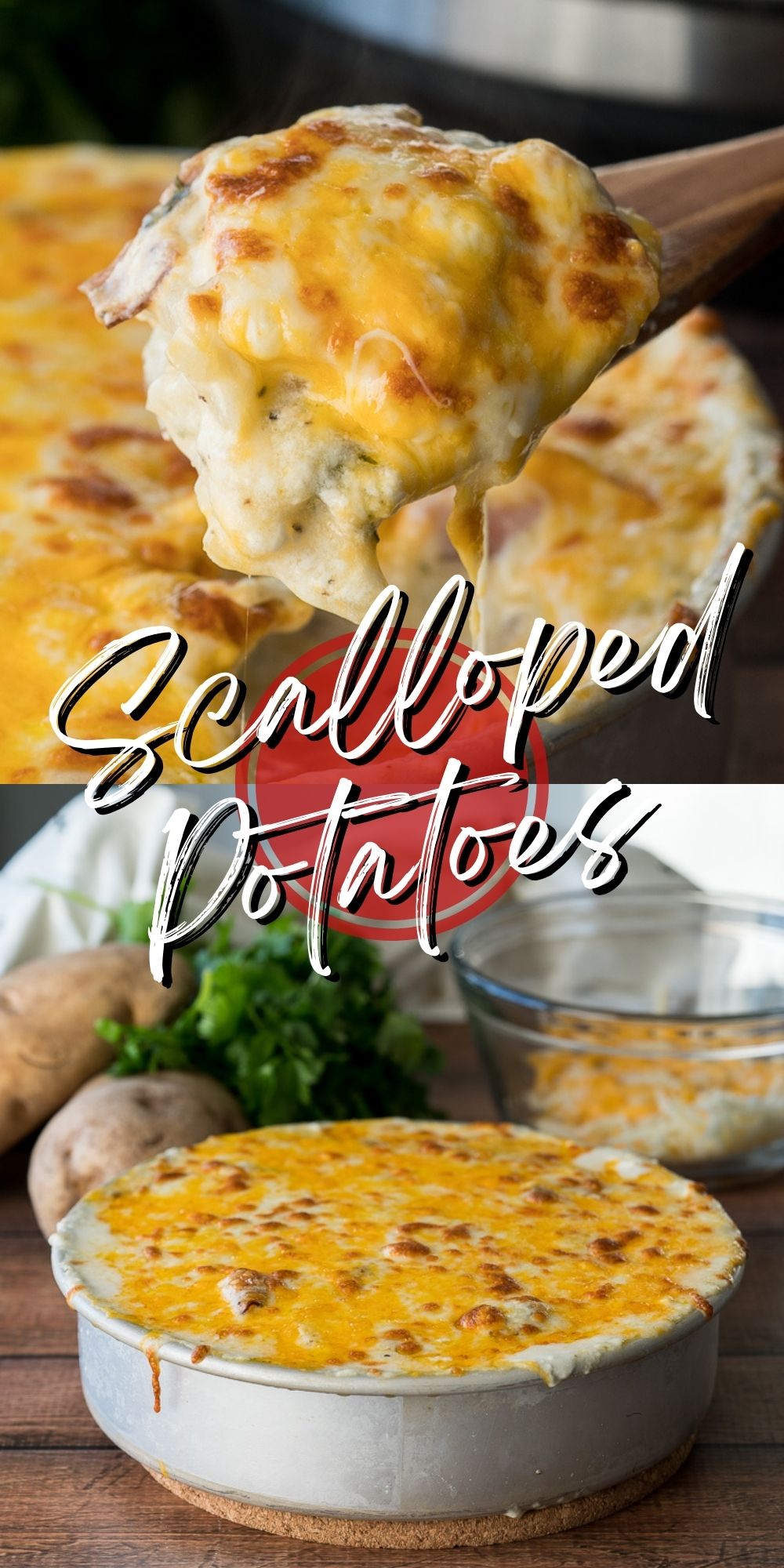 Instant Pot Scalloped Potatoes - I Wash You Dry