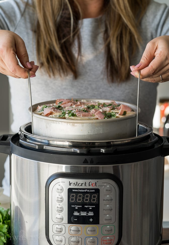 What is the Instant Pot Trivet? And how do you use it?