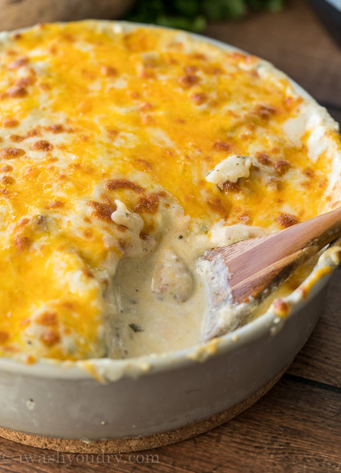 creamy scalloped potatoes in a round dish with cheese.