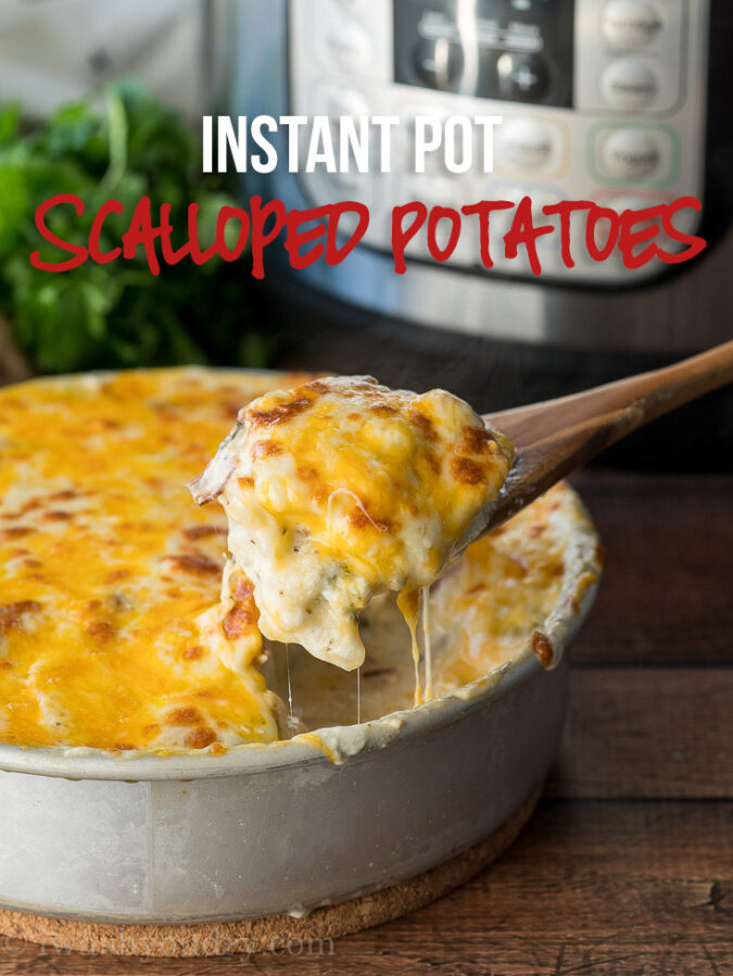 These Cheesy Scalloped Potatoes are made in just minutes in the instant pot! My whole family loved how creamy they were!