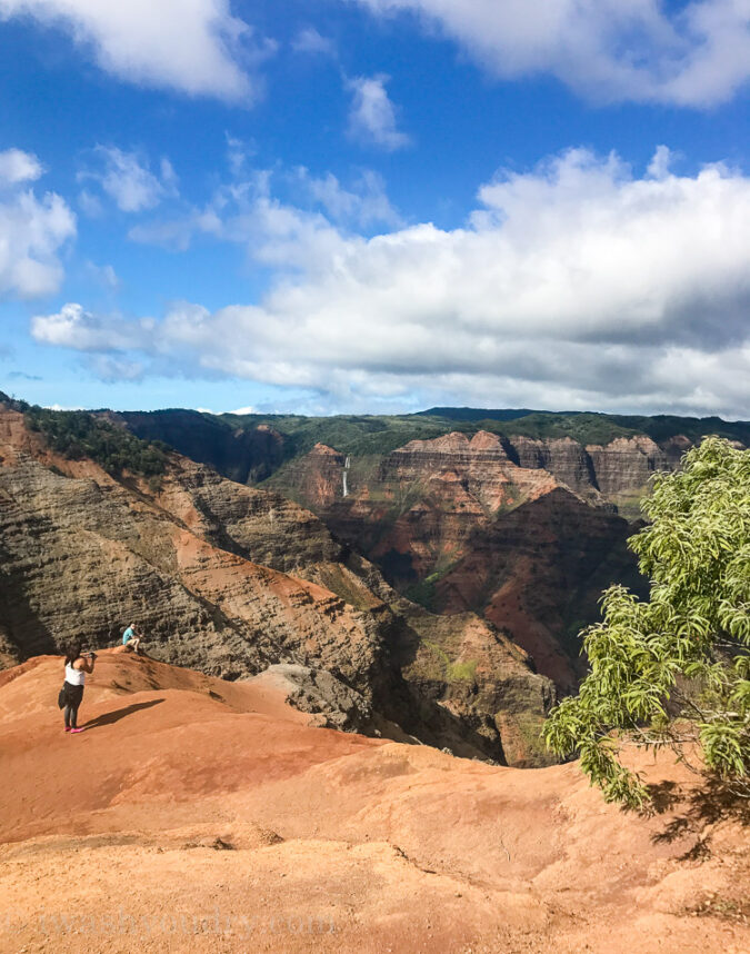 Waimea Canyon State Park in Kauai Hawaii