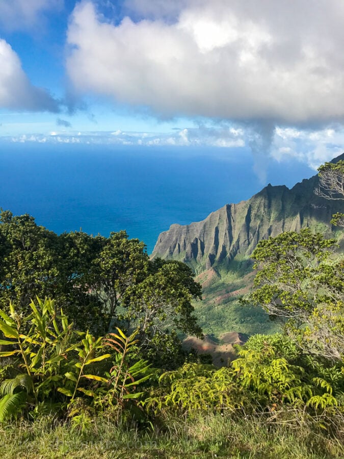 Views of the Napali Coastline with Waimea Canyon in Kauai Hawaii