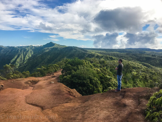 Waimea Canyon State Park in Kauai Hawaii