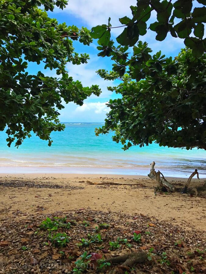 Tunnels Beach Park in Kauai Hawaii