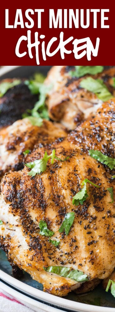 This Last Minute Chicken Recipe is the perfect quick and easy recipe to get dinner or lunch on the table in a hurry!