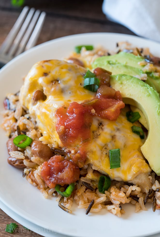 My family went nuts for this Salsa Chicken Rice Skillet! Fresh organic ingredients and a complete meal that was ready in less than 30 minutes!