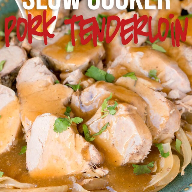 Slow Cooker Spicy Pork Loin I Wash You Dry