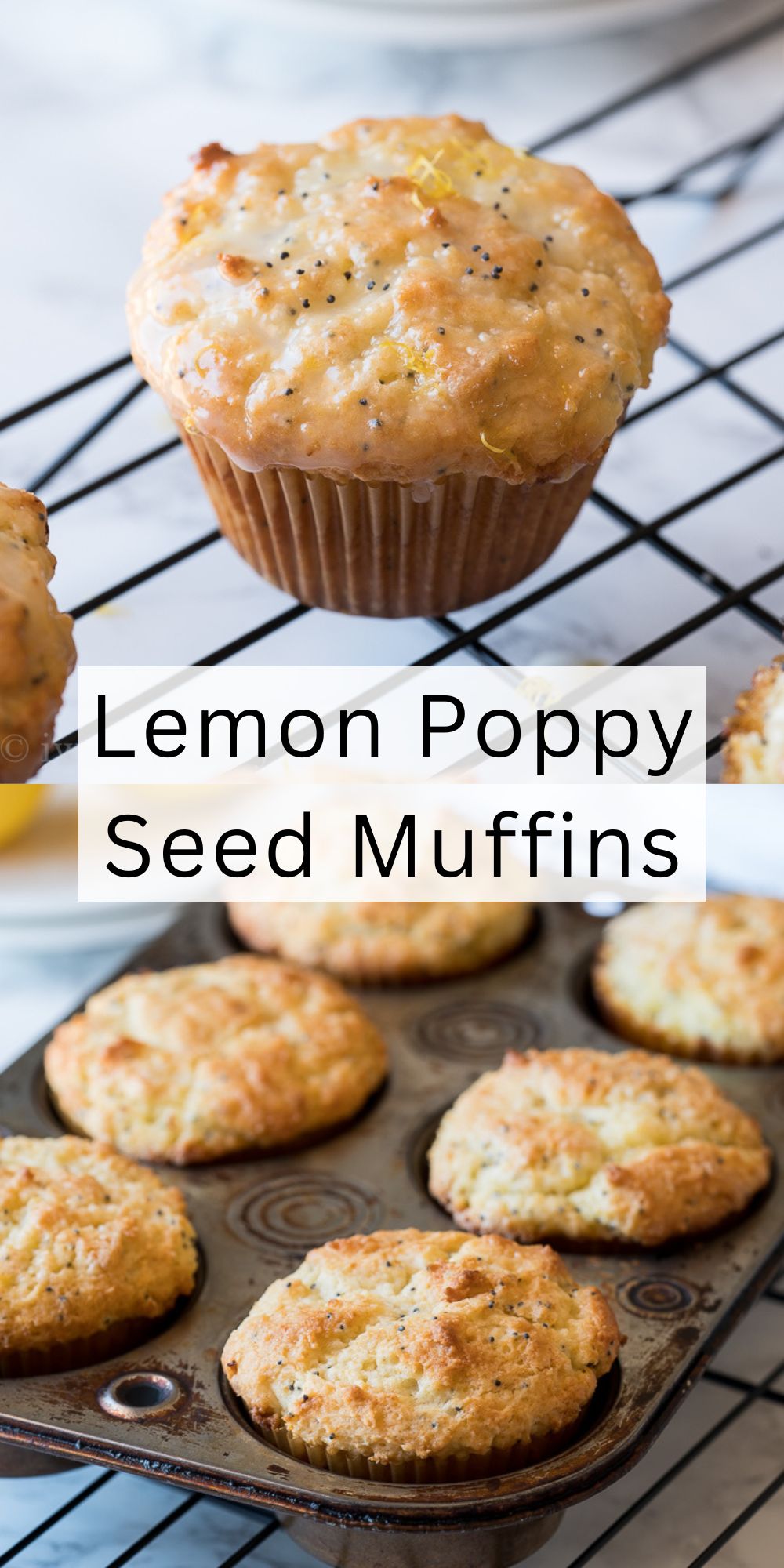 Lemon Poppy Seed Muffins - I Wash You Dry