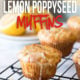 These super easy Lemon Poppy Seed Muffins are super moist and tender for days!