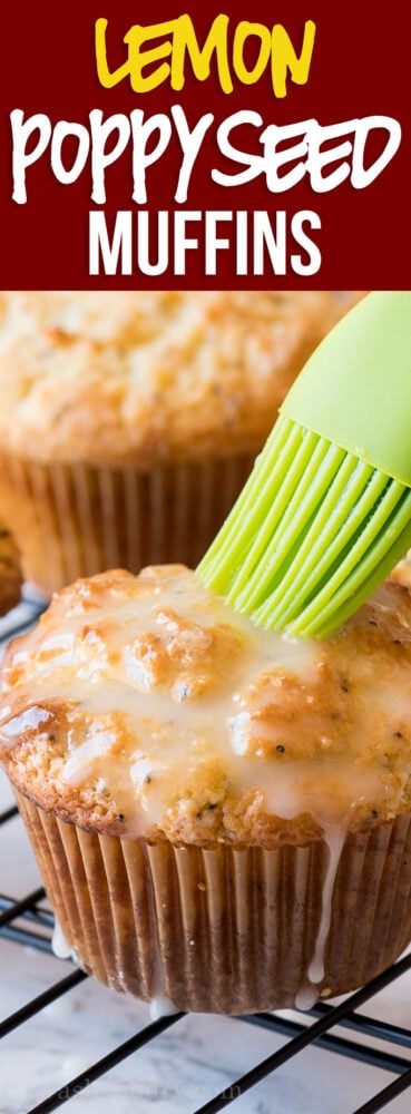 OMG! These Lemon Poppy Seed Muffins are so moist like a bakery, but super easy to make at home!