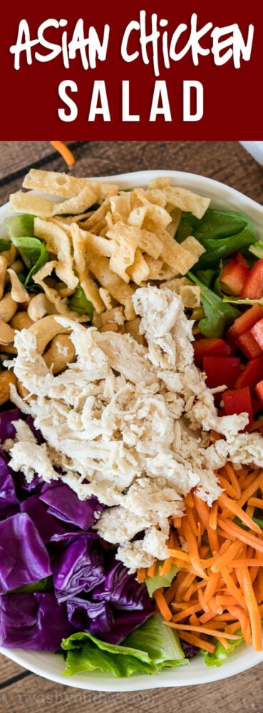 YUM! This Quick Asian Chicken Salad is filled with loads of colorful veggies and shredded chicken. The whole salad takes just a few minutes to throw together and tastes AMAZING!