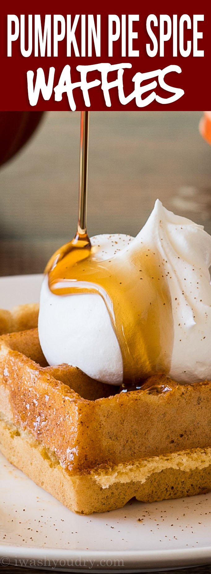 OMG! This Pumpkin Pie Spice Waffle Recipe is AMAZING!! The perfect fall breakfast! My whole family loved them!