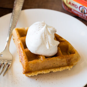 OMG! These Pumpkin Pie Spice Waffles are AMAZING!! The perfect fall breakfast! My whole family loved them!