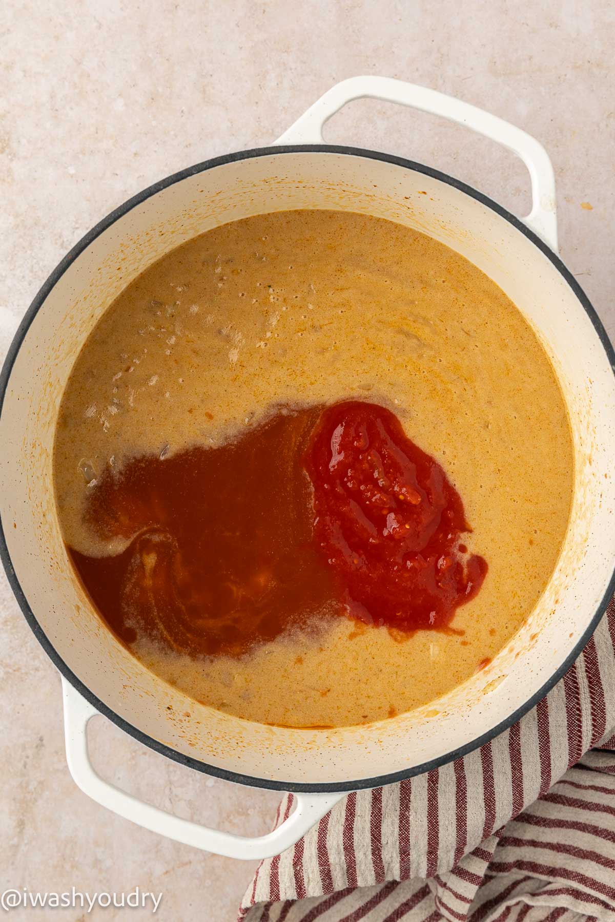 Chicken Enchilada Soup - I Wash You Dry