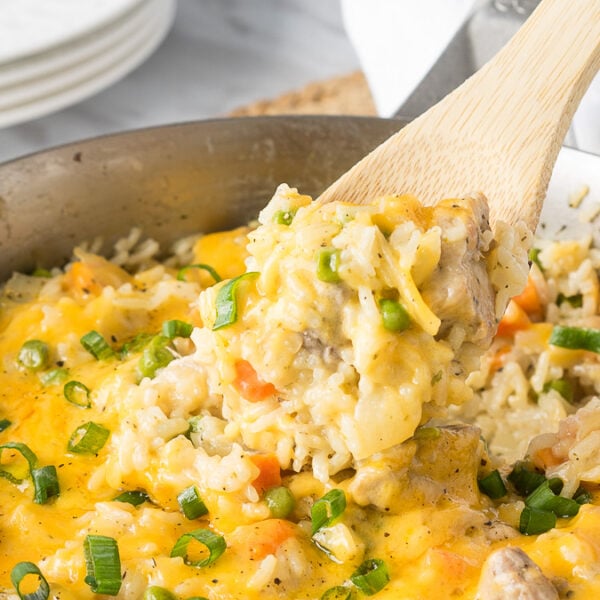Cheesy Pork and Rice Skillet - I Wash You Dry