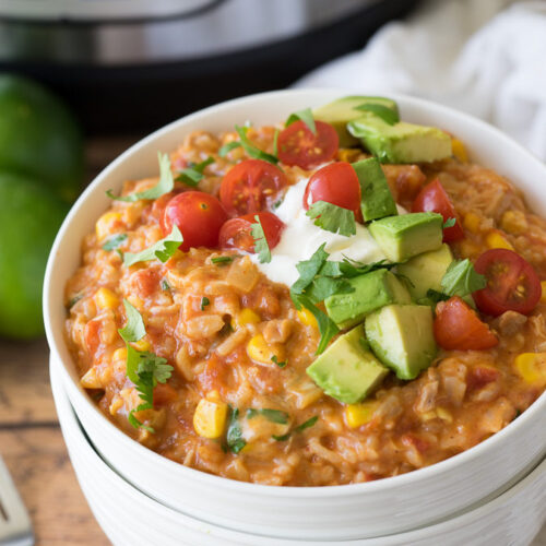 https://iwashyoudry.com/wp-content/uploads/2018/11/Instant-Pot-Mexican-Chicken-and-Rice-4-675x952-500x500.jpg