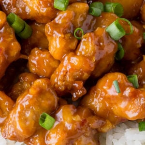 Best Orange Chicken Recipe - I Wash You Dry