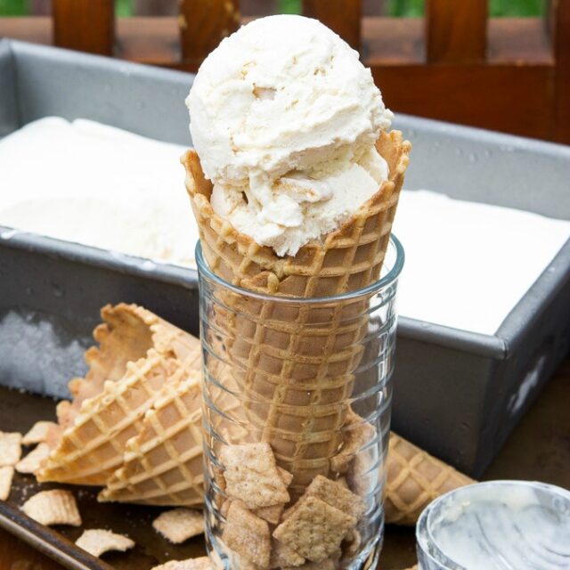 Snickerdoodle Cheesecake Ice Cream I Wash You Dry