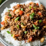 WOW! This super easy Ground Beef Kung Pao is a quick weeknight dinner that's ready in just 15 minutes! My whole family LOVED it!