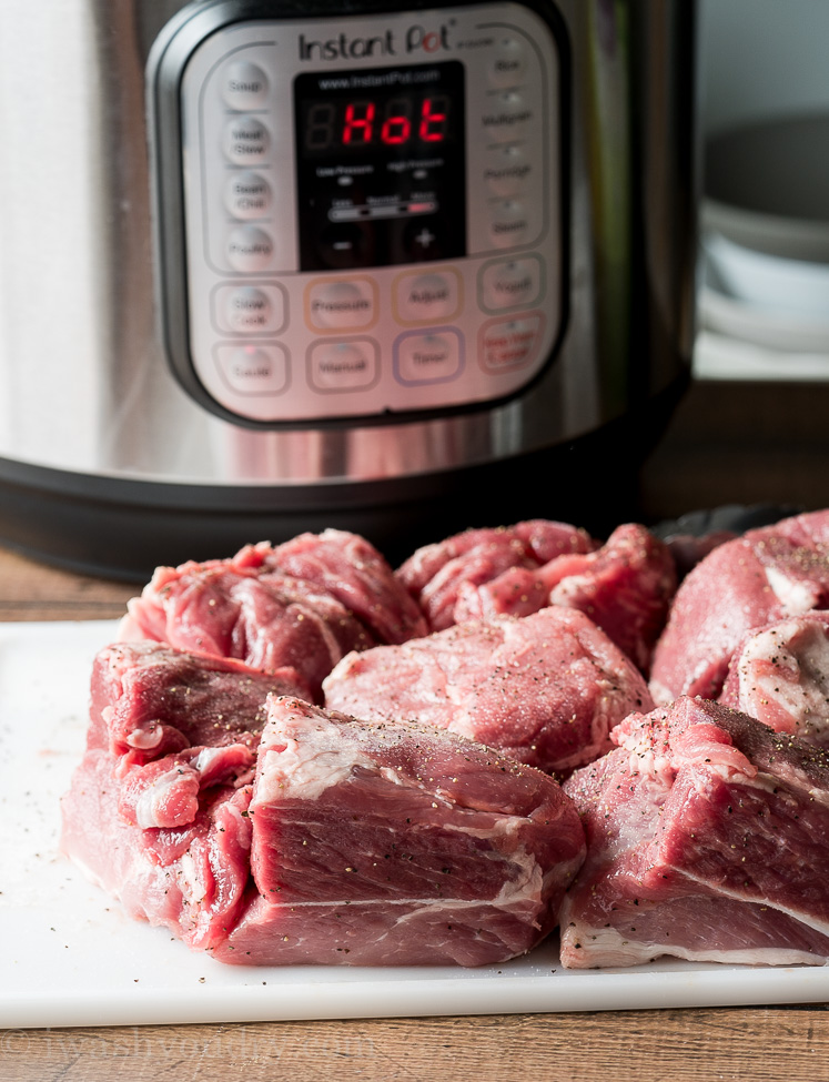 Crispy Instant Pot Pork Carnitas I Wash You Dry