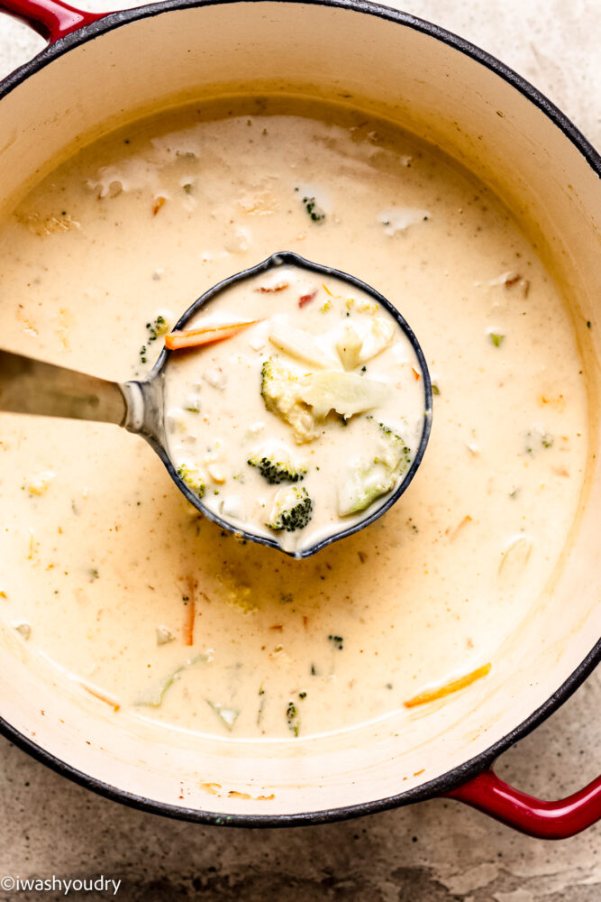 Loaded Broccoli Cheese Soup Recipe - I Wash You Dry