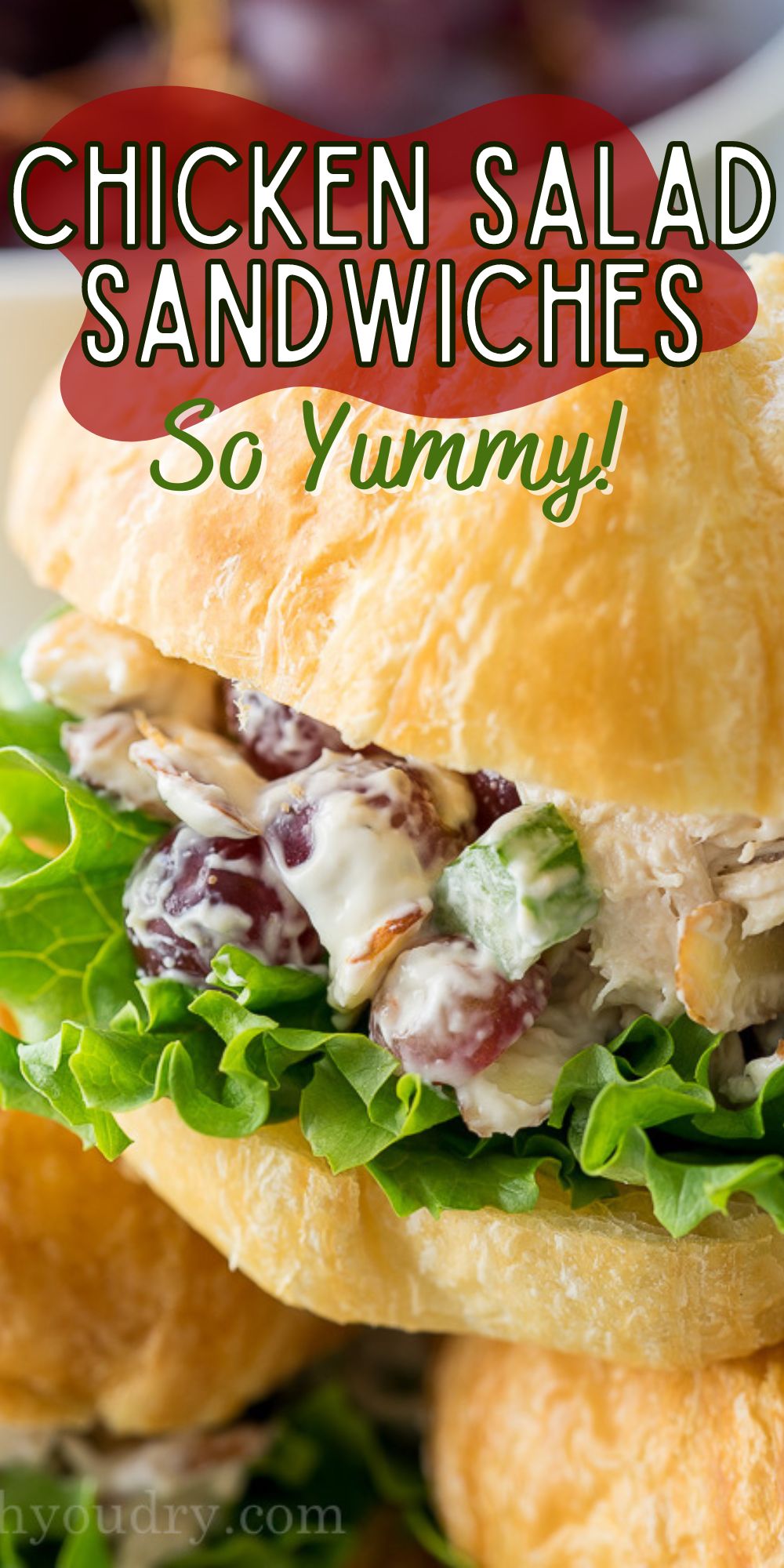 Best Chicken Salad Sandwiches - I Wash You Dry
