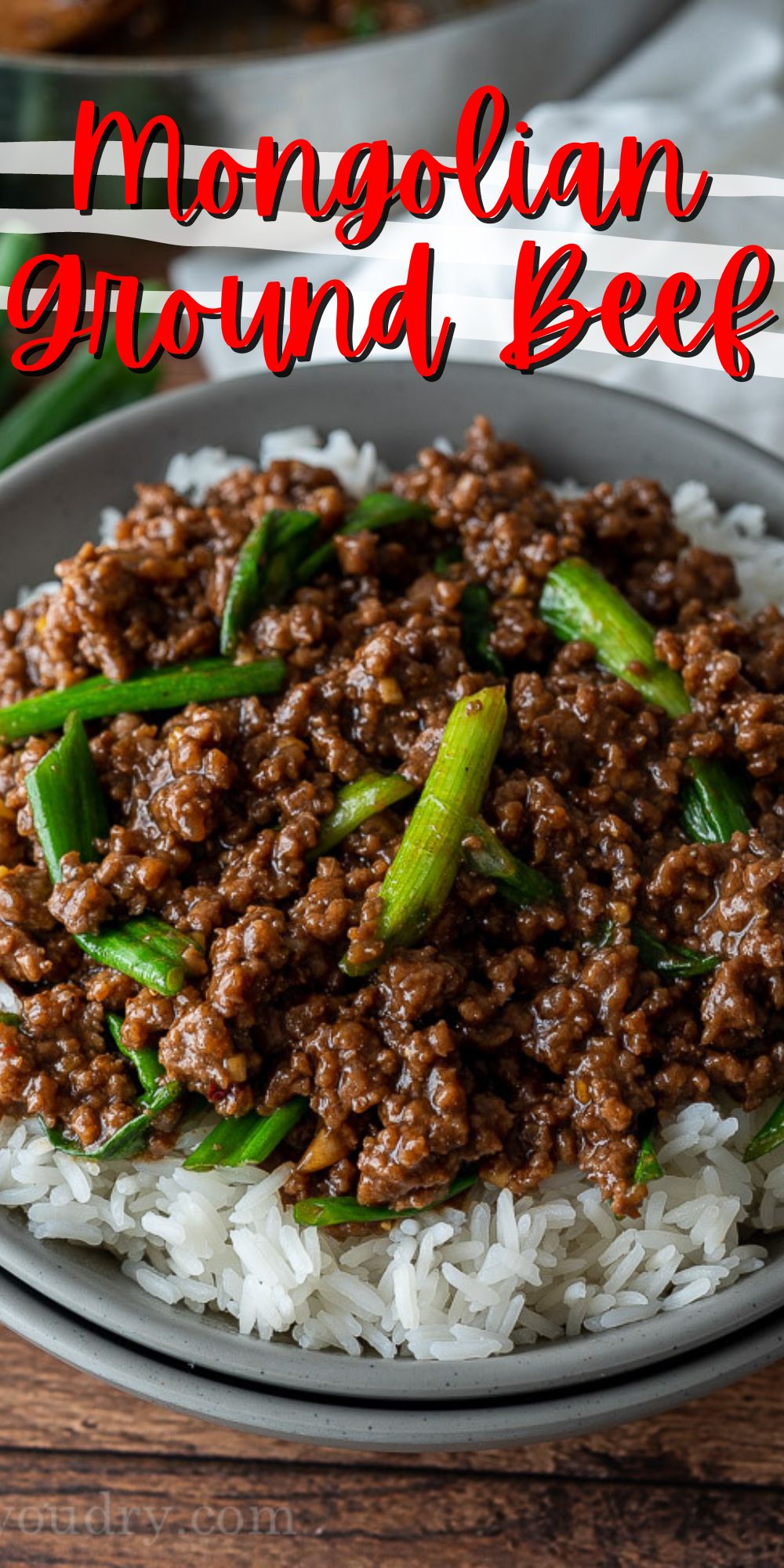Easy Mongolian Ground Beef Recipe - I Wash You Dry