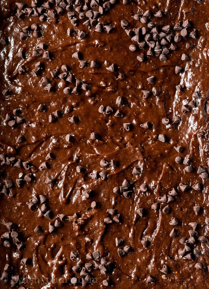 Gooey Fudge Brownie Recipe with chocolate chips