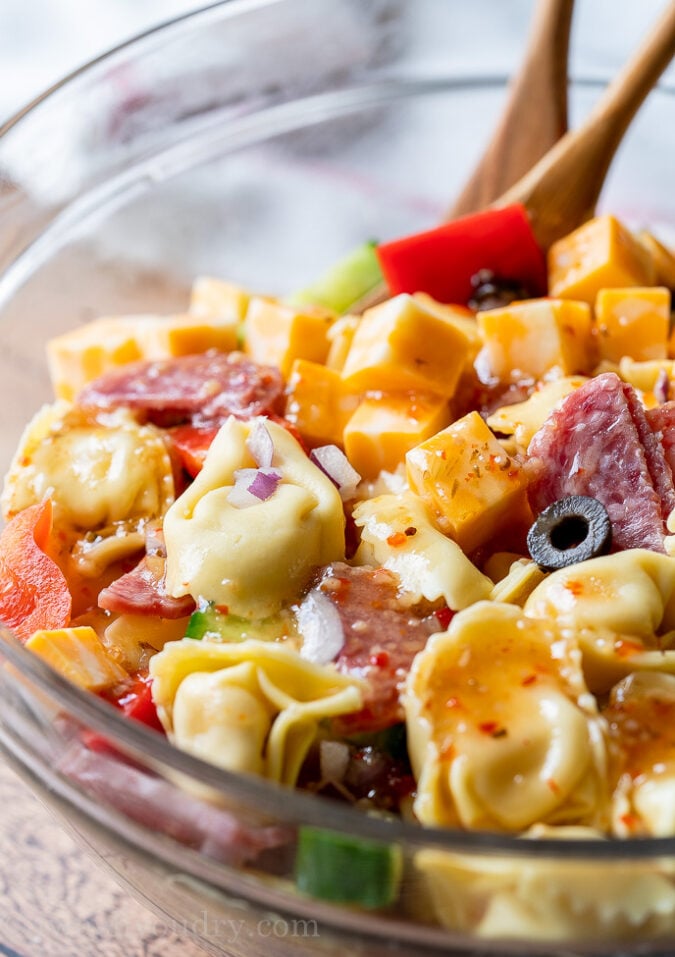 Italian Tortellini Pasta Salad Recipe | I Wash You Dry