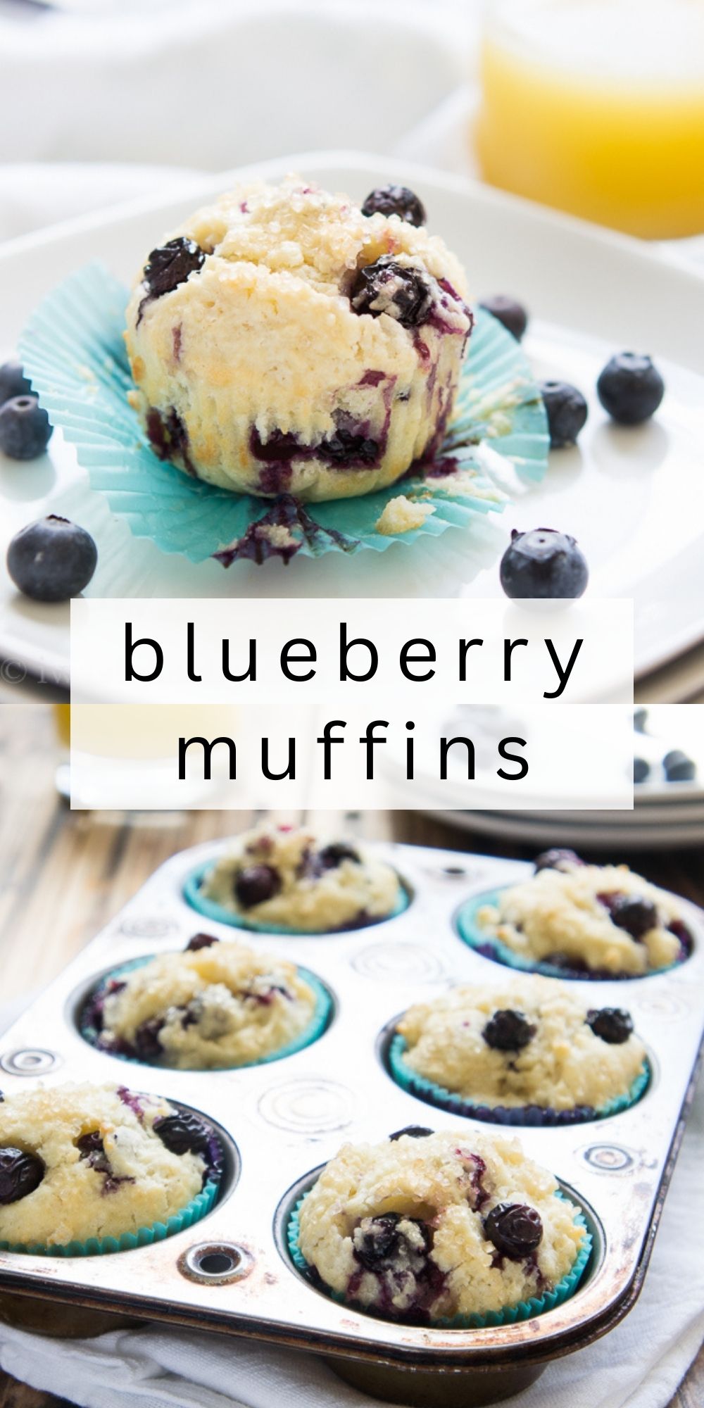 Quick Blueberry Muffins Recipe - I Wash You Dry