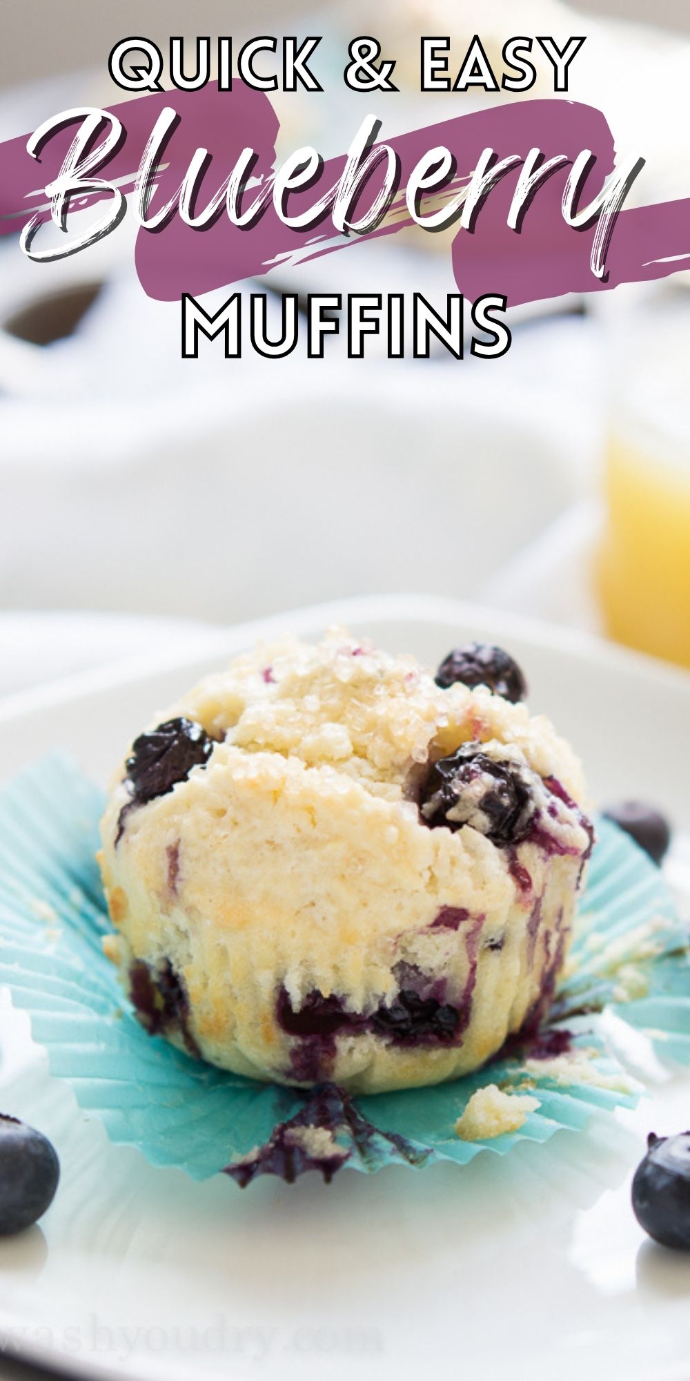 Quick Blueberry Muffins Recipe - I Wash You Dry