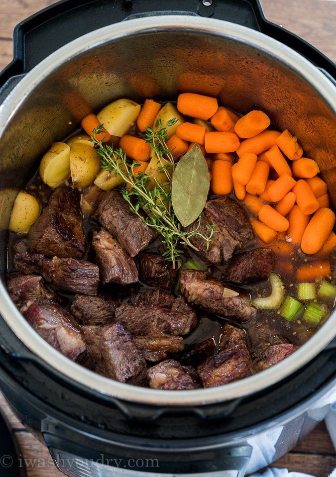 Best Instant Pot Beef Stew Recipe - I Wash You Dry