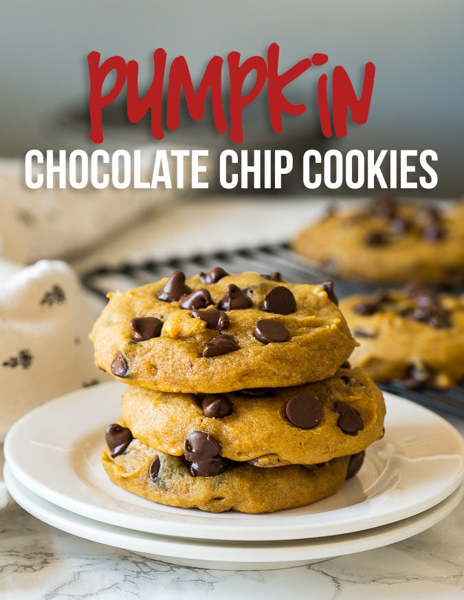 This is the BEST Pumpkin Chocolate Chip Cookies Recipe! Filled with warm pumpkin pie spice, sweet chocolate chips and loads of pumpkin, these soft cookies will melt your heart!