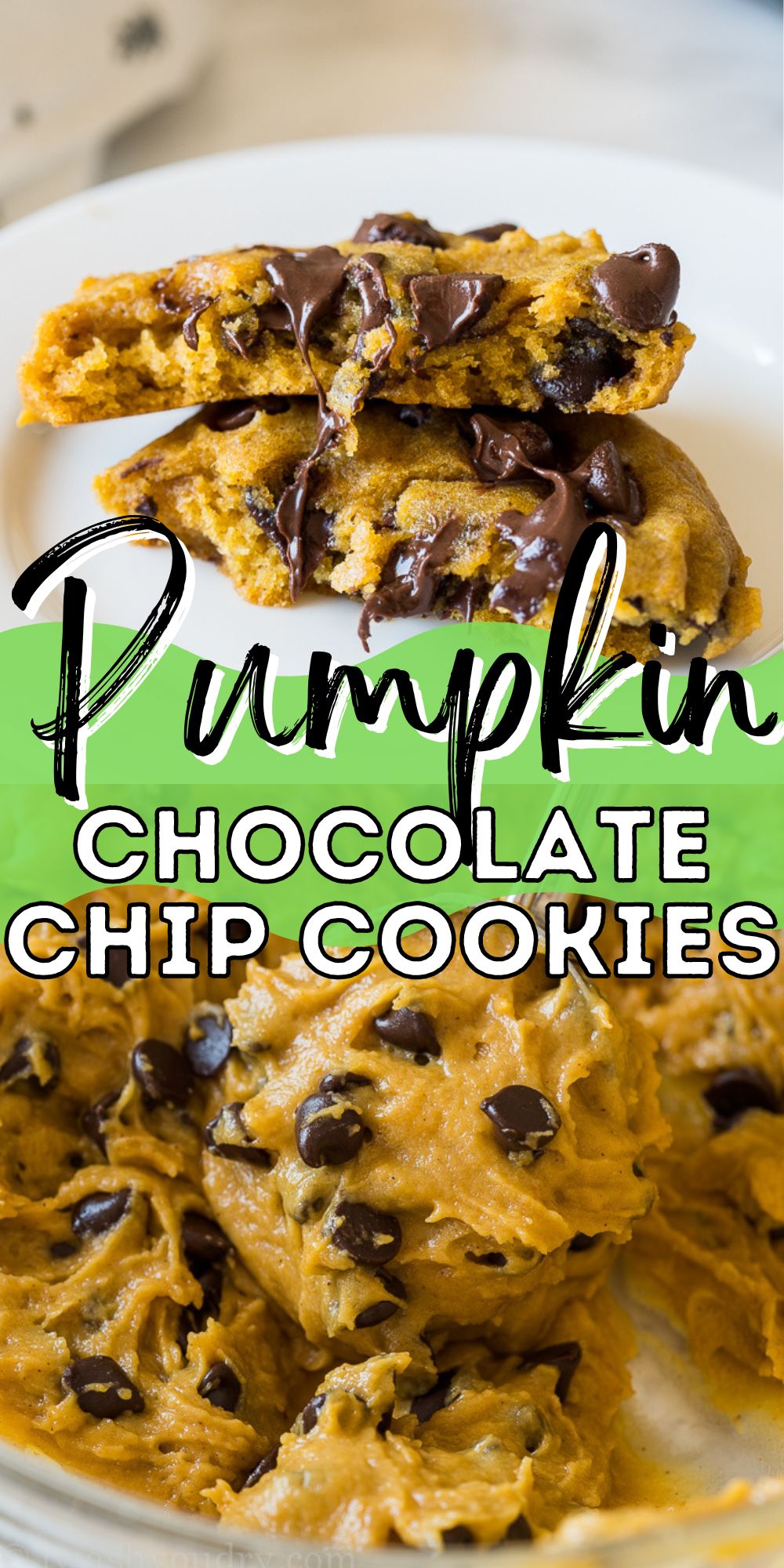 Best Pumpkin Chocolate Chip Cookies Recipe I Wash You Dry   Pumpkin Cookies 5 