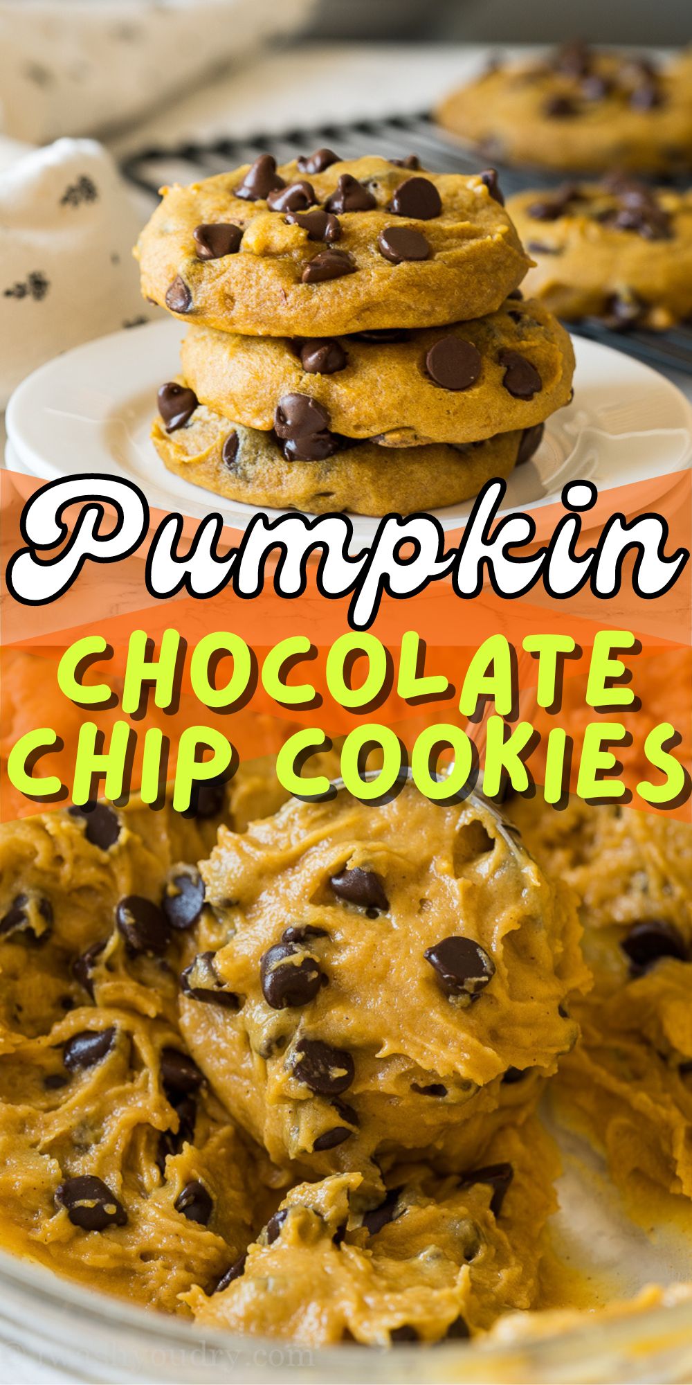 Best Pumpkin Chocolate Chip Cookies Recipe I Wash You Dry   Pumpkin Cookies 7 