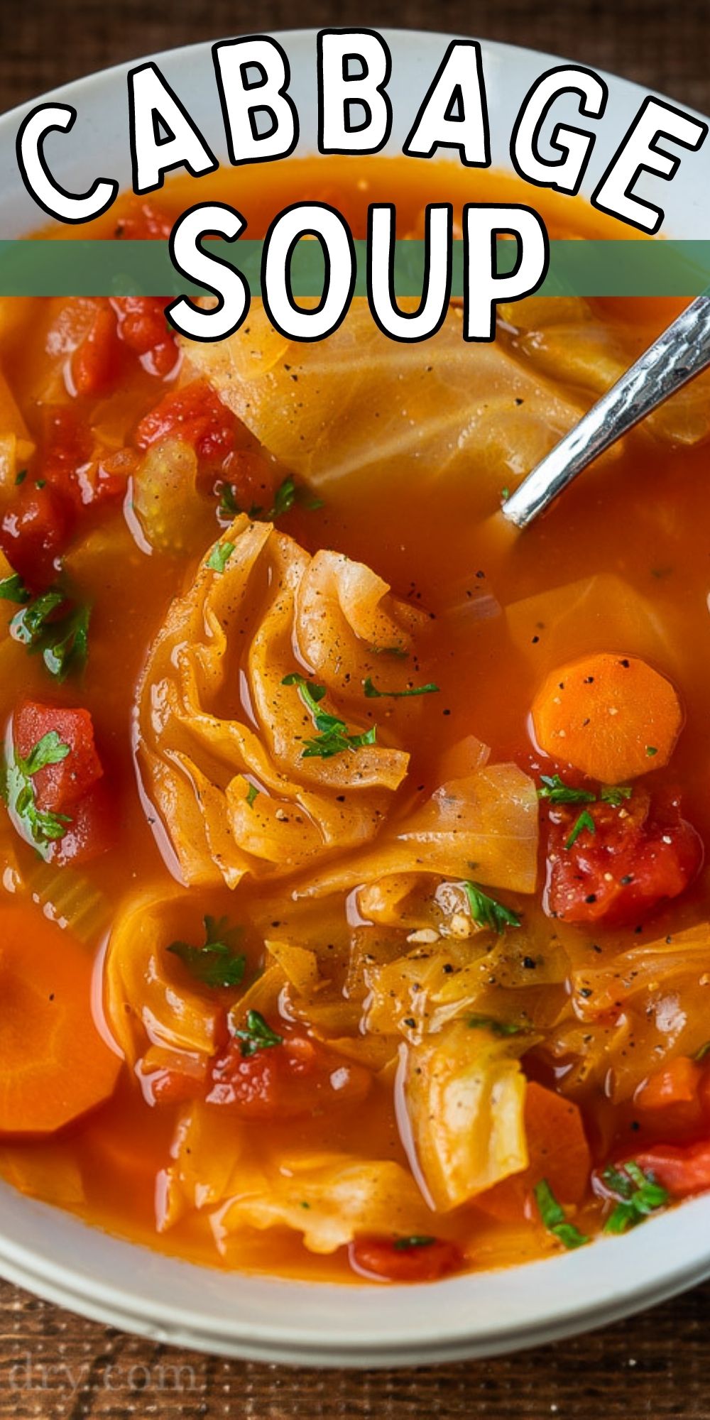 Cabbage Soup Recipe - I Wash You Dry