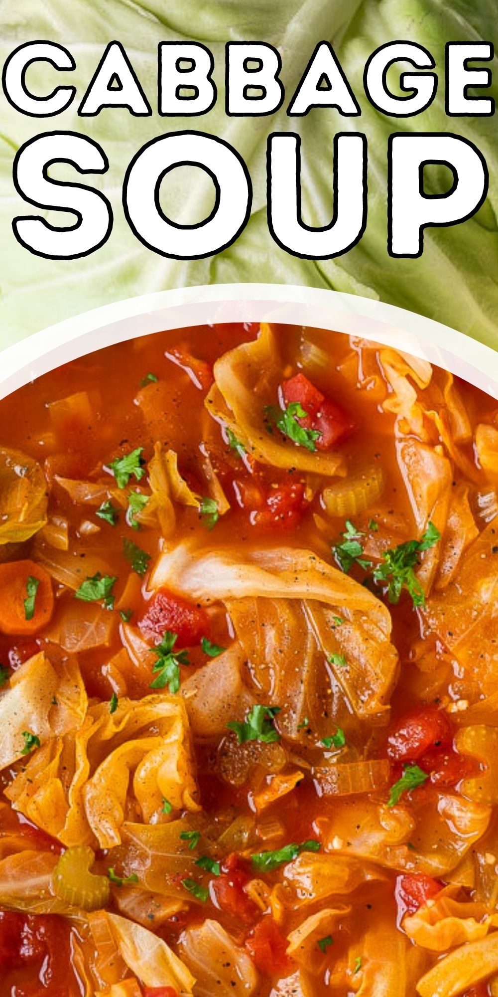 Cabbage Soup Recipe - I Wash You Dry